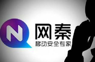 不透明的網(wǎng)秦，終被股民棄如敝履