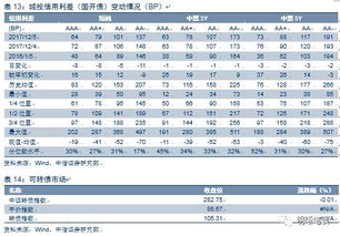 雙支柱政策框架下貨幣政策和監(jiān)管政策的協(xié)調(diào)機(jī)制